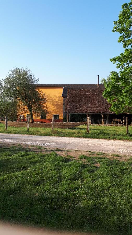 La Maison Du Potier Proche De Guedelon Saint-Amand-en-Puisaye Exterior foto